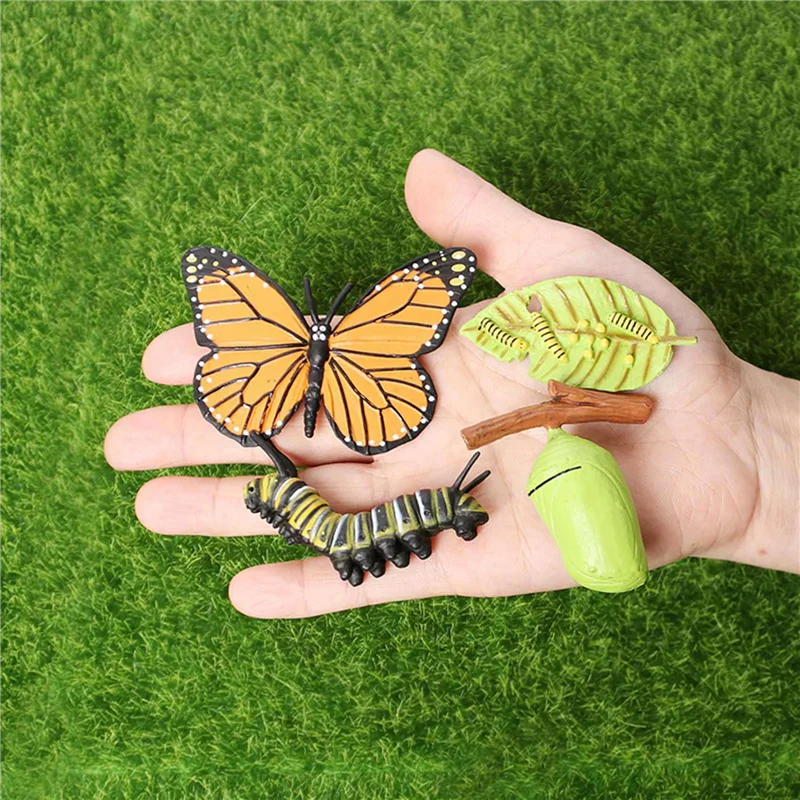 

M04K 2X Simulation Life Cycle Figurine Of A Monarch Butterfly Growth Cycle Insect Animals Educational Biology Science Toy
