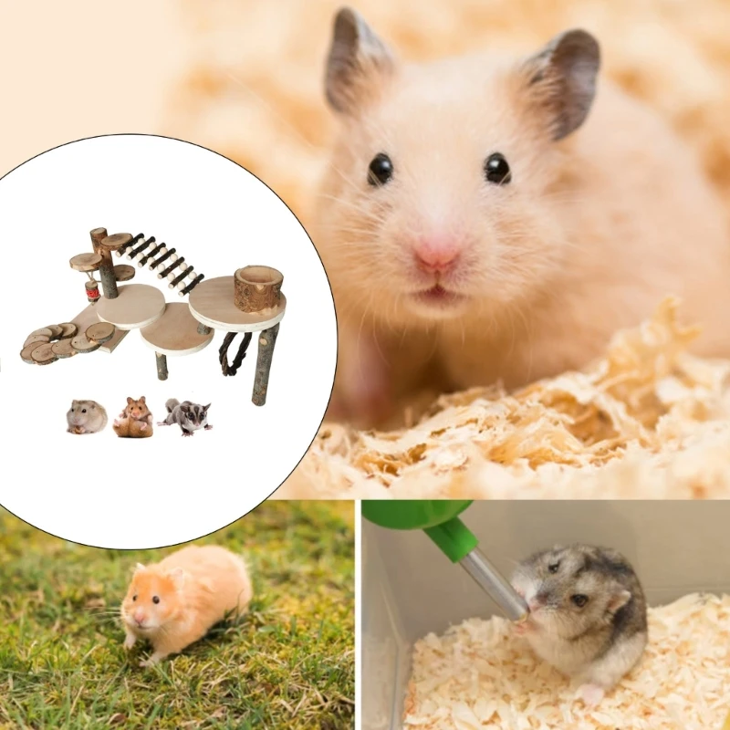 Detachable Hamster Ladder Toy for Keeping Energetical Pet Entertained & Active Drop Shipping