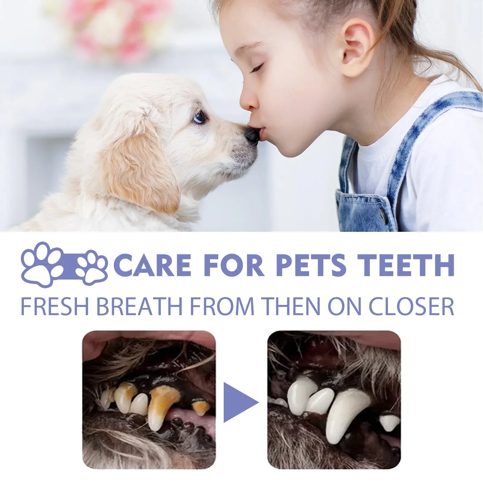 50mlPet Oral Cleanse Spray Dogs Cats Teeth Clean Deodorant Prevent Calculus Remove Kitten Bad Breath Pet Supplies Freshen Breath