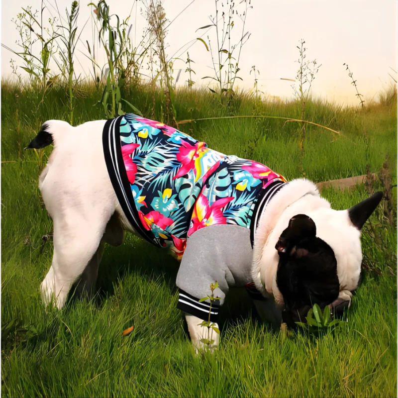 Fancy Dog Clothes Coat, Hawaiian Pet Clothes, Cotton Padded Warm Jacket, Flower Print, Autumn, Winter, Size Plus, New