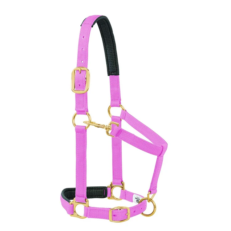 

Fashion Style Hot Sale Breakaway Form Leather Padded Adjustable Nylon Horse Halter 1