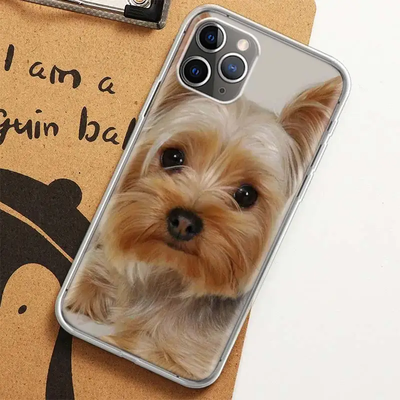 Yorkshire Terrier Yorkie Dog Pet Animal Case for iPhone 12 13 Mini 14 Plus 15 16 Pro Max 11 X XS Max Clear TPU Protecti