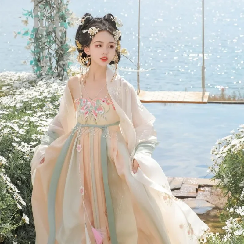 Vestido de princesa Hanfu tradicional china para mujer, traje bordado de la dinastía Tang, ropa antigua de Hada, vestido de fiesta de baile Vintage