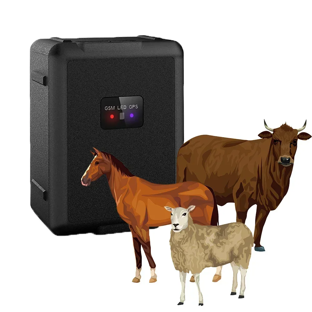 2026/Anytracking Newly released cow horse camel goats 4G LTE TDD animal GPS tracker livestock equipment 20000mAh battery V55
