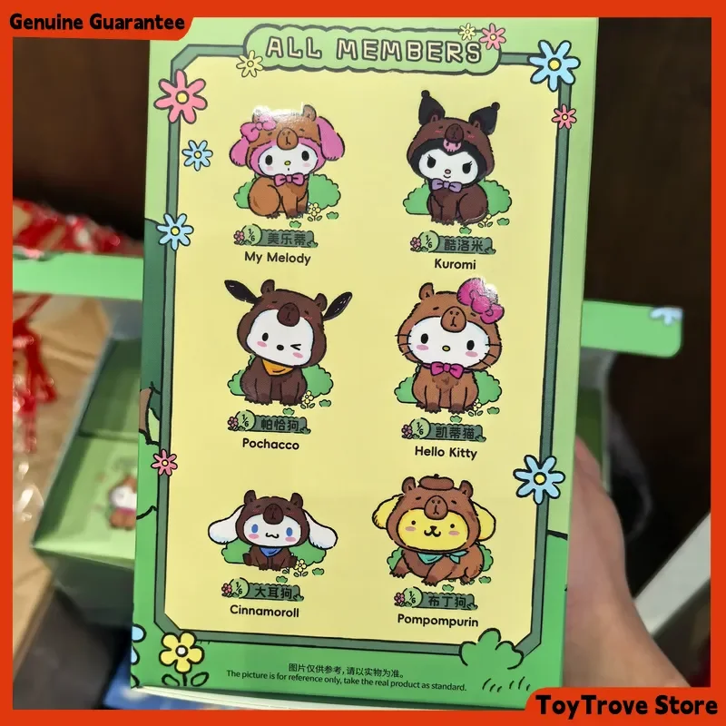 Персонажи Sanrio, буддийская капибара, серия слепая коробка, виниловое лицо, плюшевая аниме-фигурка Kt Cinnamoroll Melody Kuromi Pom Pom Purin