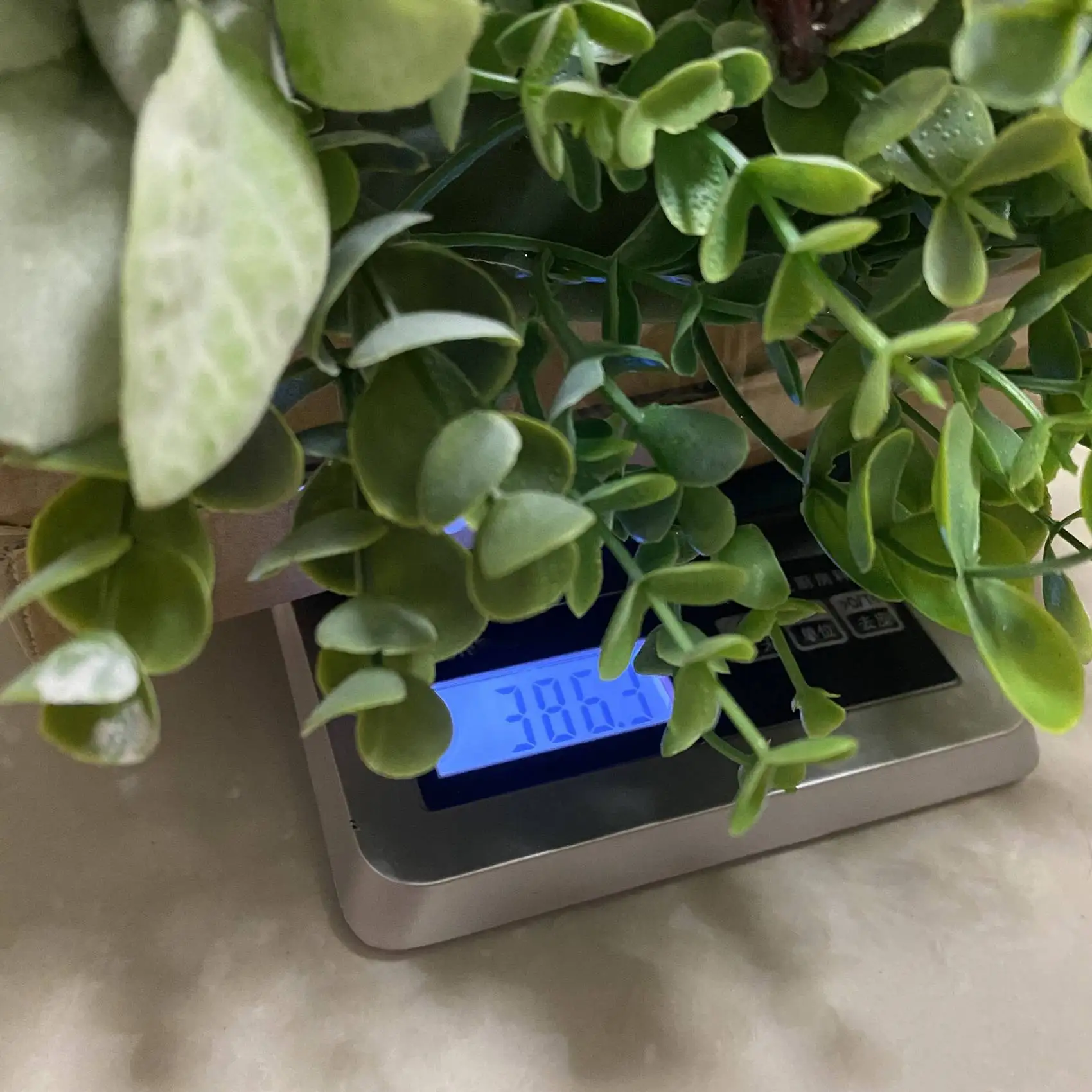 CMHI-ヴィンテージトラックベリー秋のリース玄関ドア用ヴィンテージクリスマスリースホリデー松ぼっくりリースハンギングガーランド