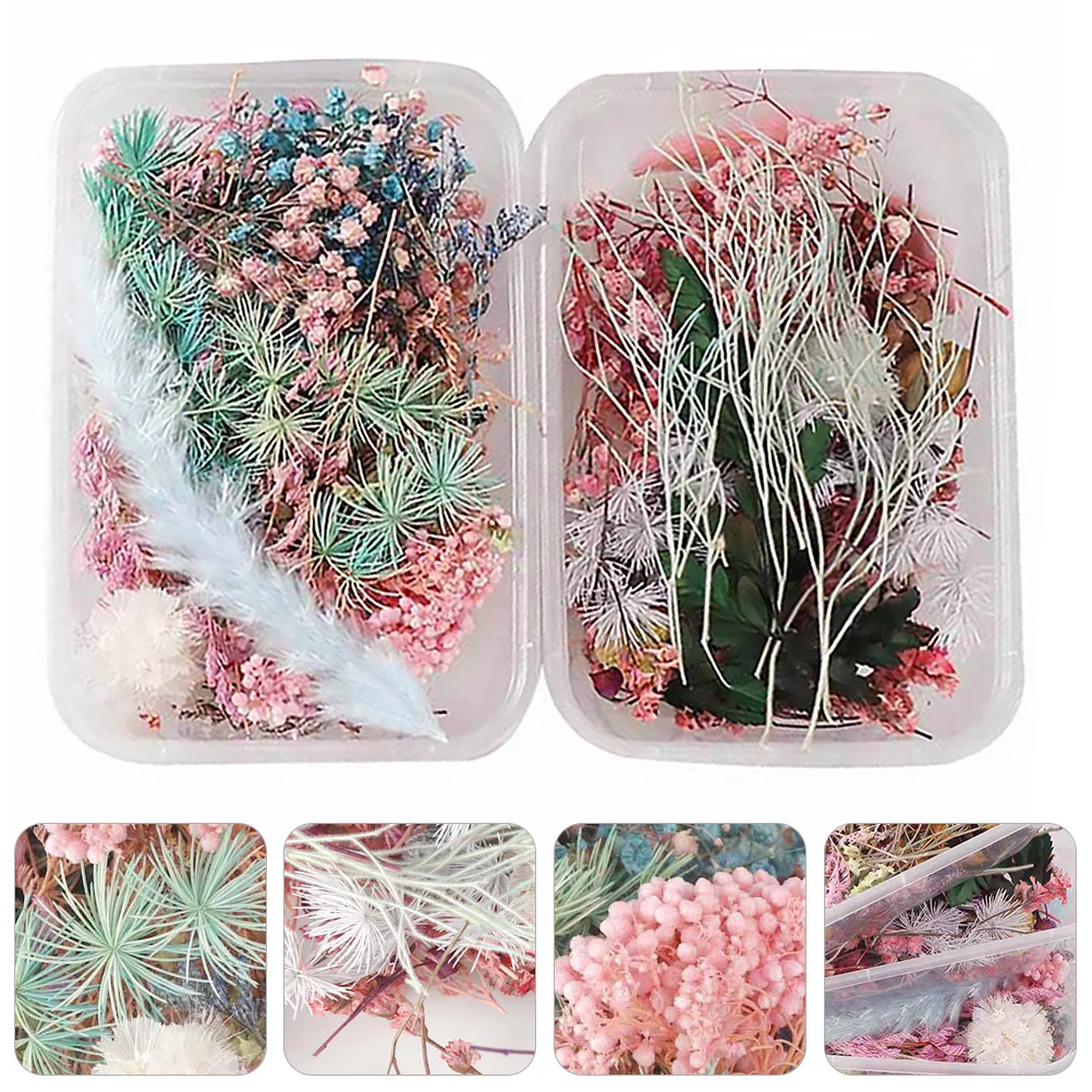 2 Boxes Aromatherapy Dried Flowers for Plant Household Soap Decoration Natural Accessories