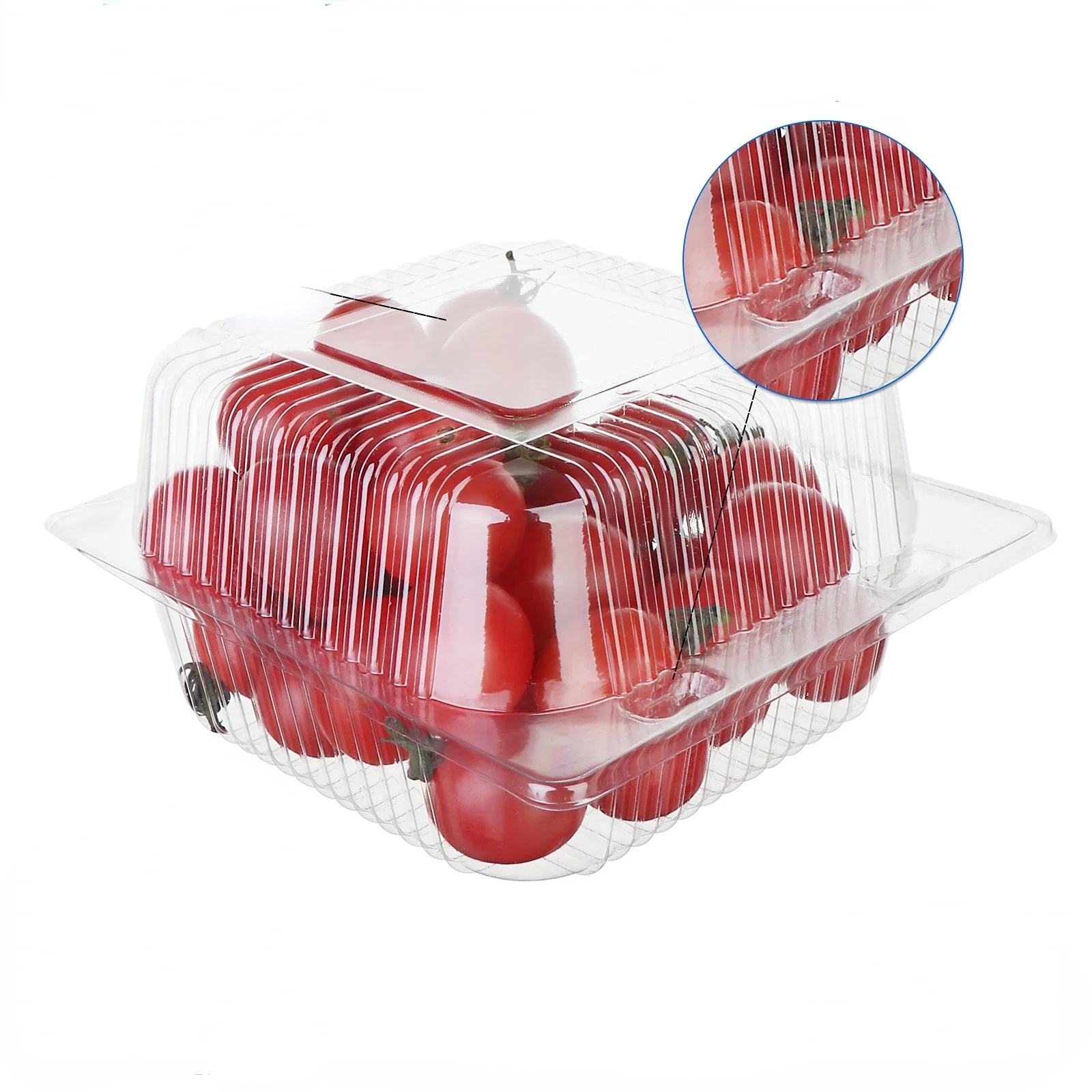 25 Pcs Clear Clamshell Food Container With Lids Party Disposable Lunch Boxes Picnic Food Packing Boxes Takeaway Boxes Cake Boxes