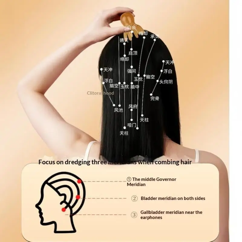 2Pcs Resin Octopus Head Massage Scraping Comb Meridian Scalp Brush for  Boost