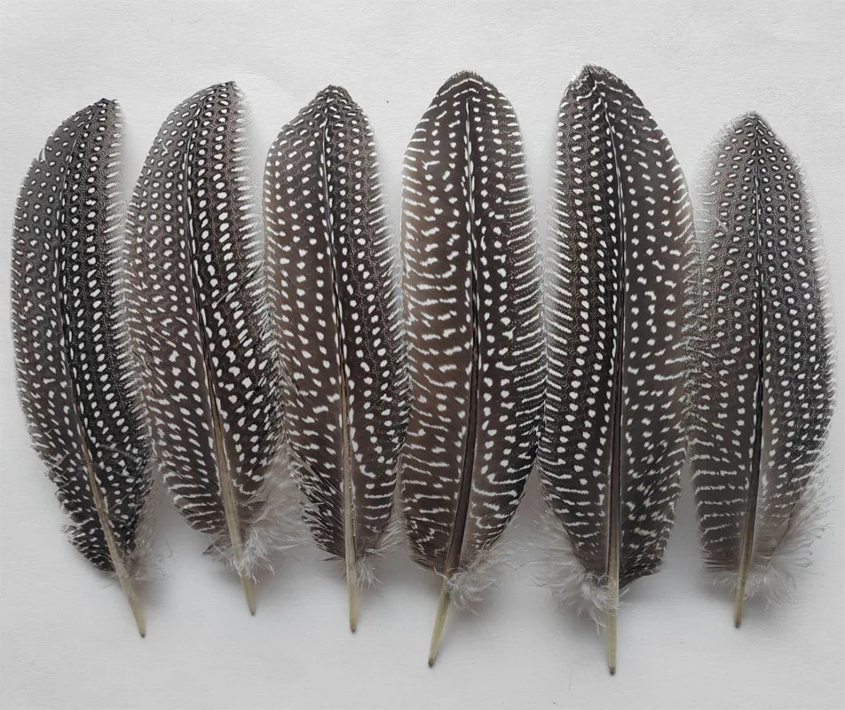 

100Pcs 6-8inches 15-20cm Natural Guinea Fowl Wing Feathers Guinea Hen Quill Feathers for Jewelry Making,Millinery