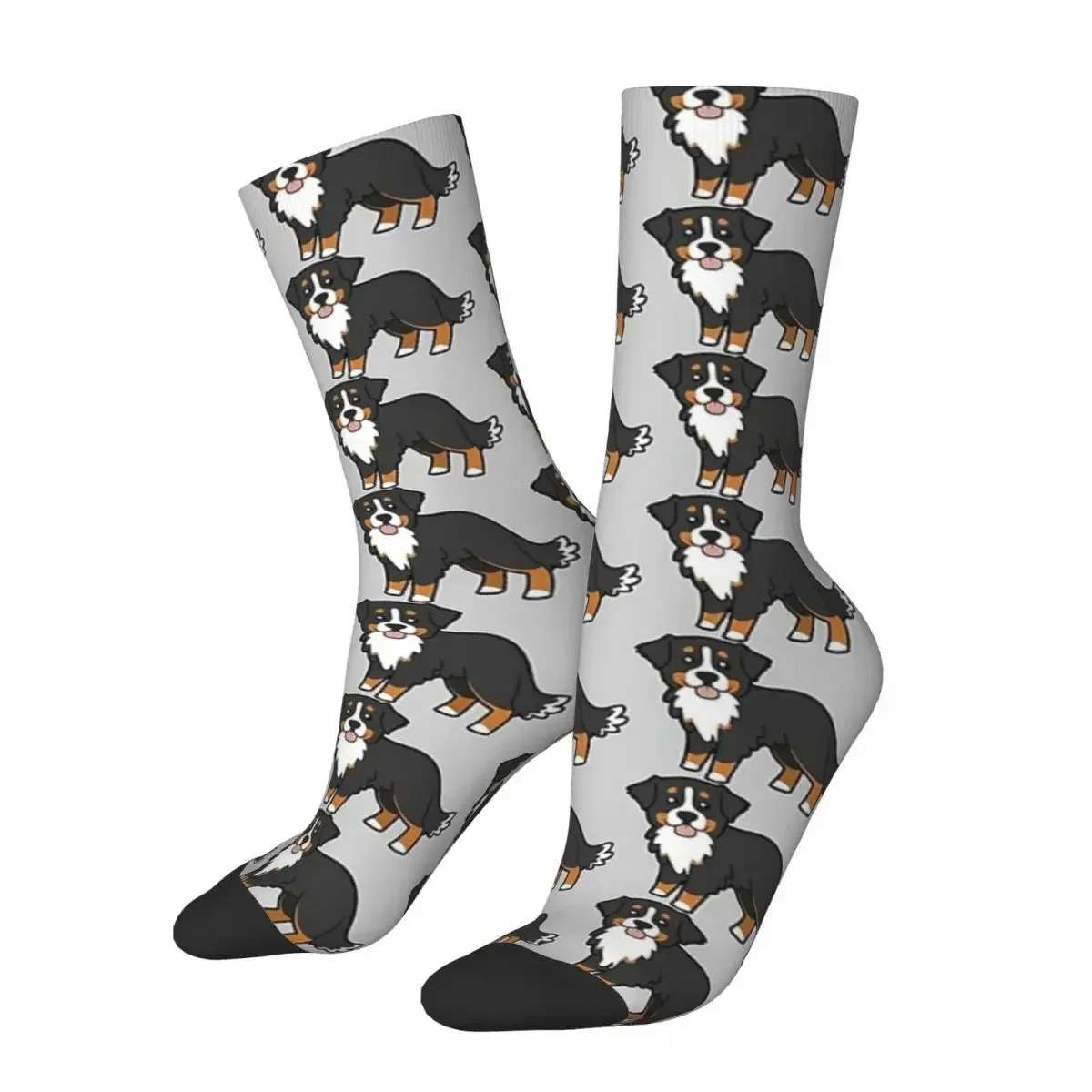 

Bernese Mountain Dog. Socks Harajuku Super Soft Stockings All Season Long Socks Accessories for Man's Woman's Birthday Present