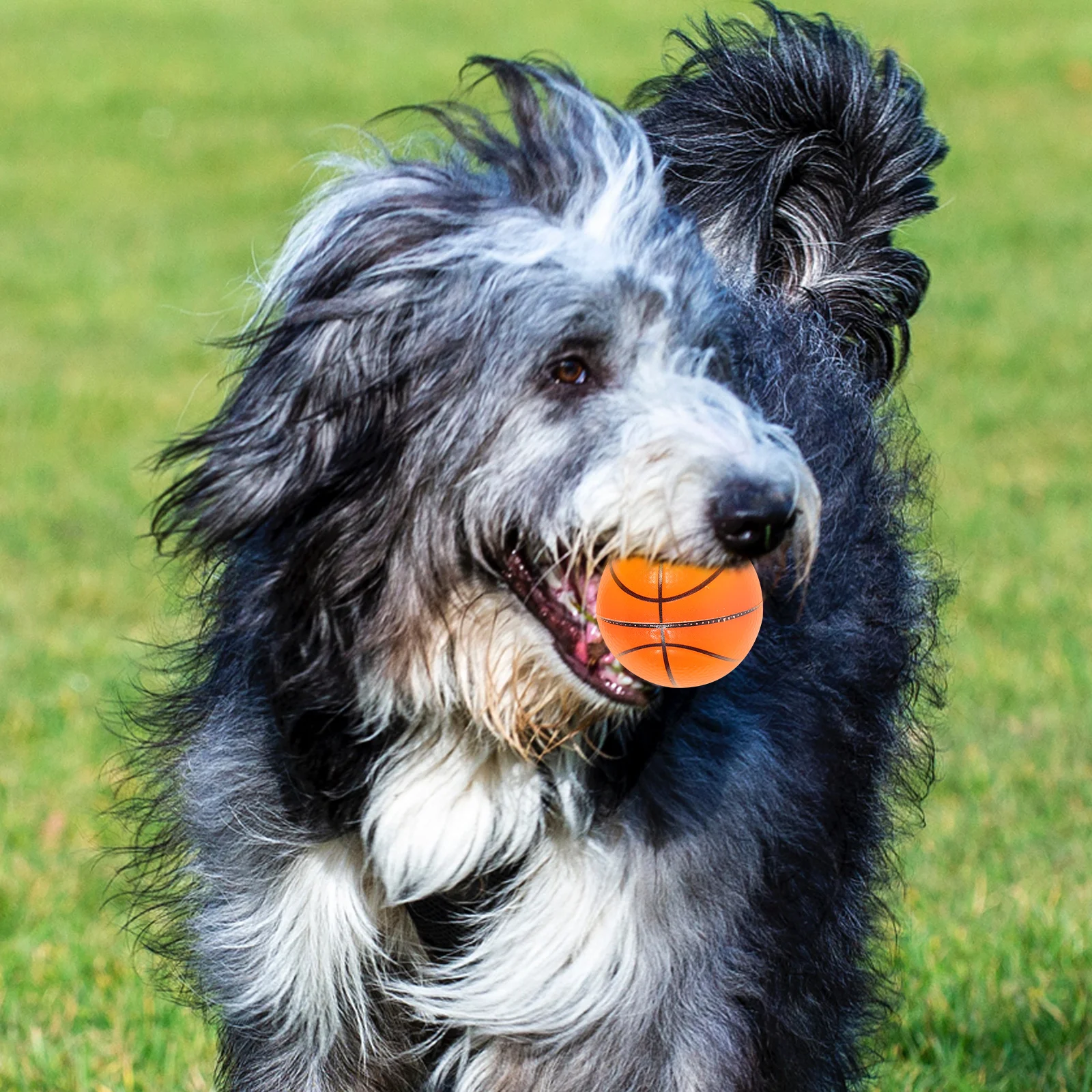 

4Pcs Elastic Ball Kit for Pets Heavy Duty Waterproof Rubber Balls Great for Swimming Fetch Training Chewing Teething Activities