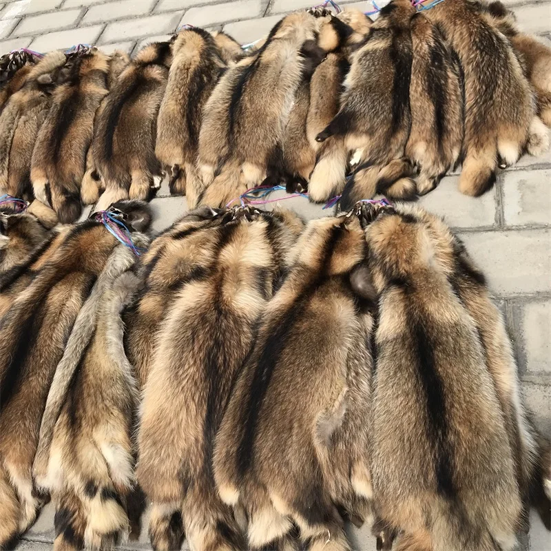 Wholesale Factory Supply Real Raccoon Rur Skin Natural Raccoon Fur Pelt For Garment