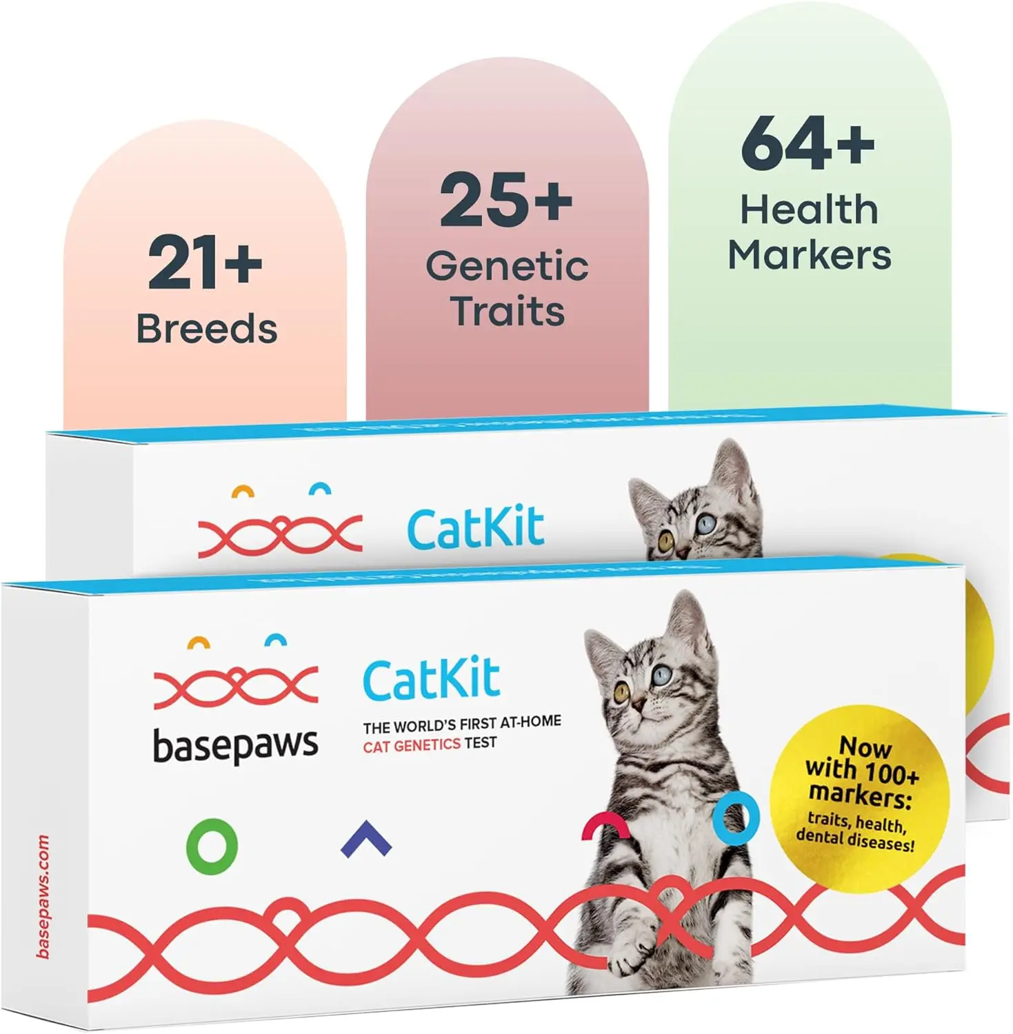 

Basepaws Cat DNA Test Kit 2 Pack- Comprehensive Breed, Health and Dental Analysis Across 114 Traits for Accurate and Easy-to-Use