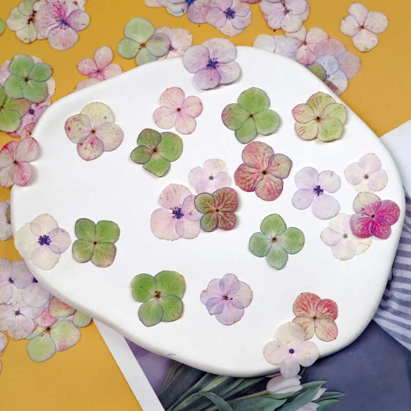 24 Stück, gepresste Hortensien im Monet-Stil – DIY-Schmuckzubehör aus getrocknetem Blumenharz, Blütenblatt-Fotorahmen und Handyhüllen-Bastelset – Detail 3
