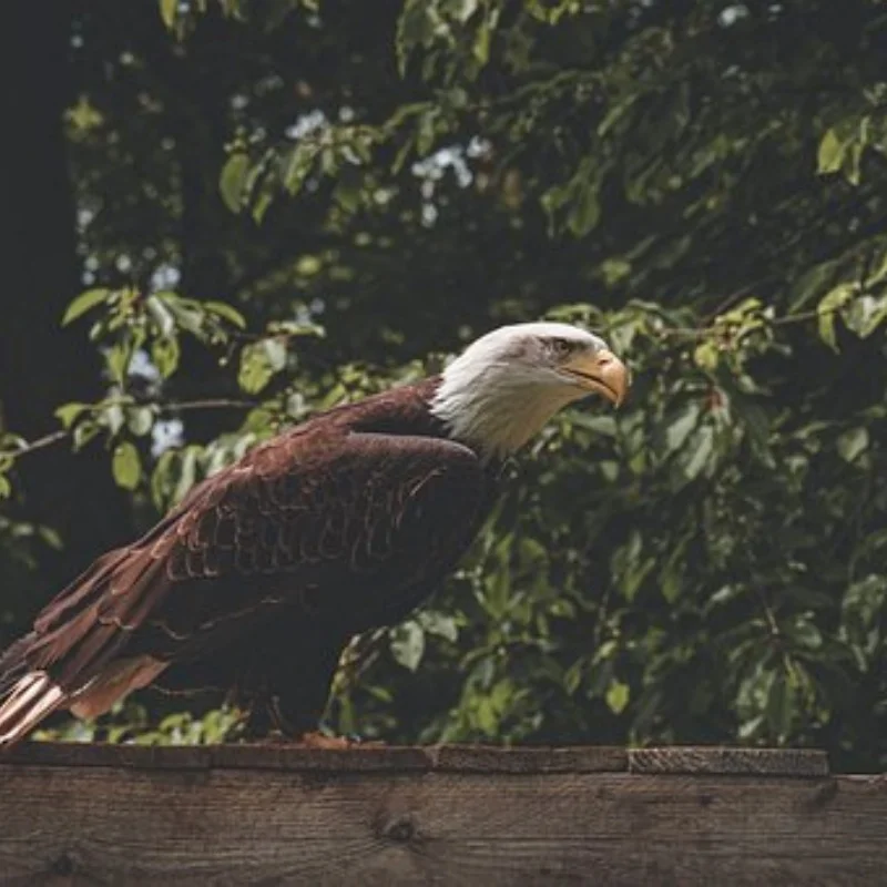 

4PCS Sports Car High Speed Remote Control Wheel Hub Drift Racing Accessories