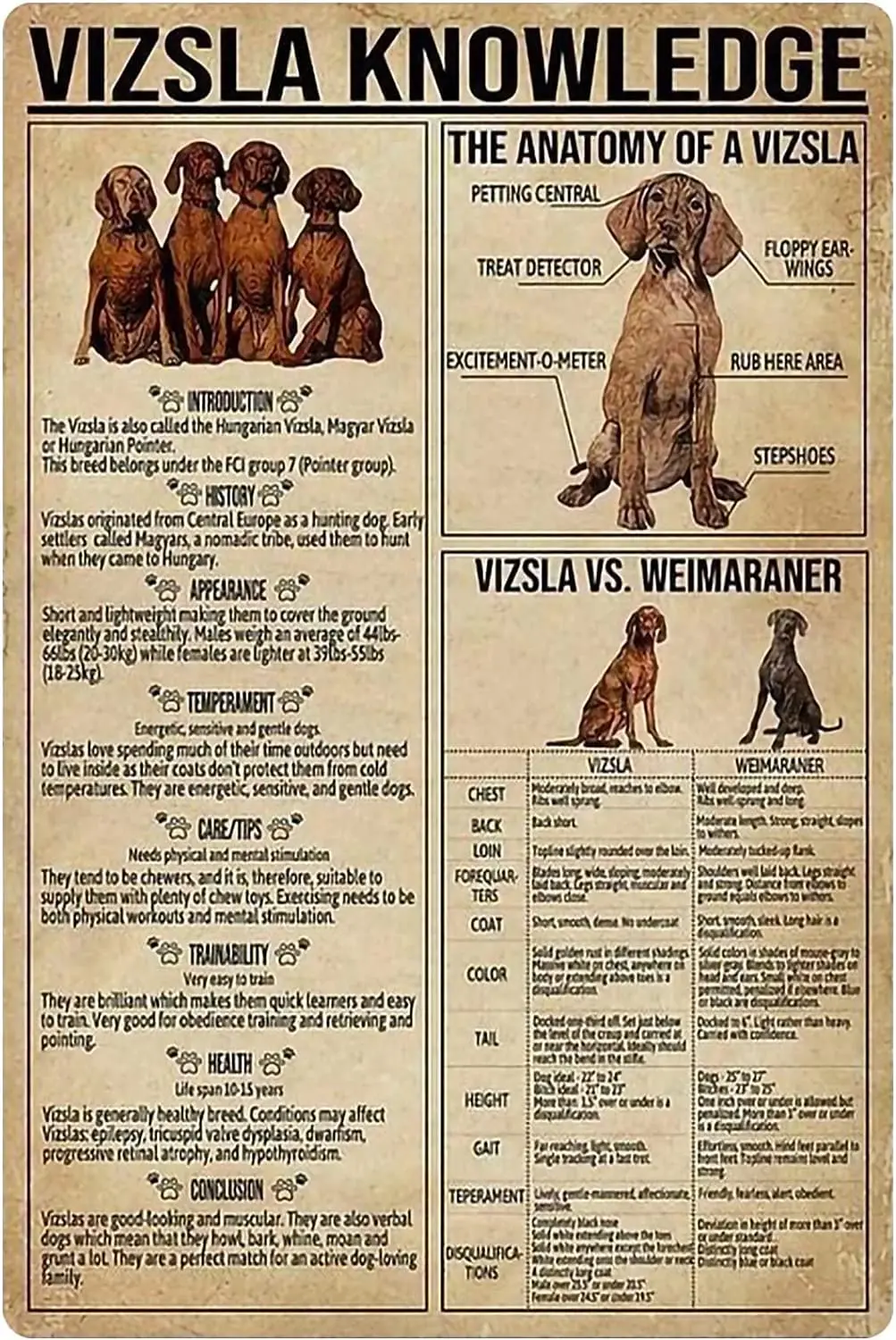 Youpinnong Vizsla Knowledge Metal Tin Signs Retro Vizsla Infographic Poster Kennel Guide Plaque Pet Shop Bar Home Wall Decor 12x