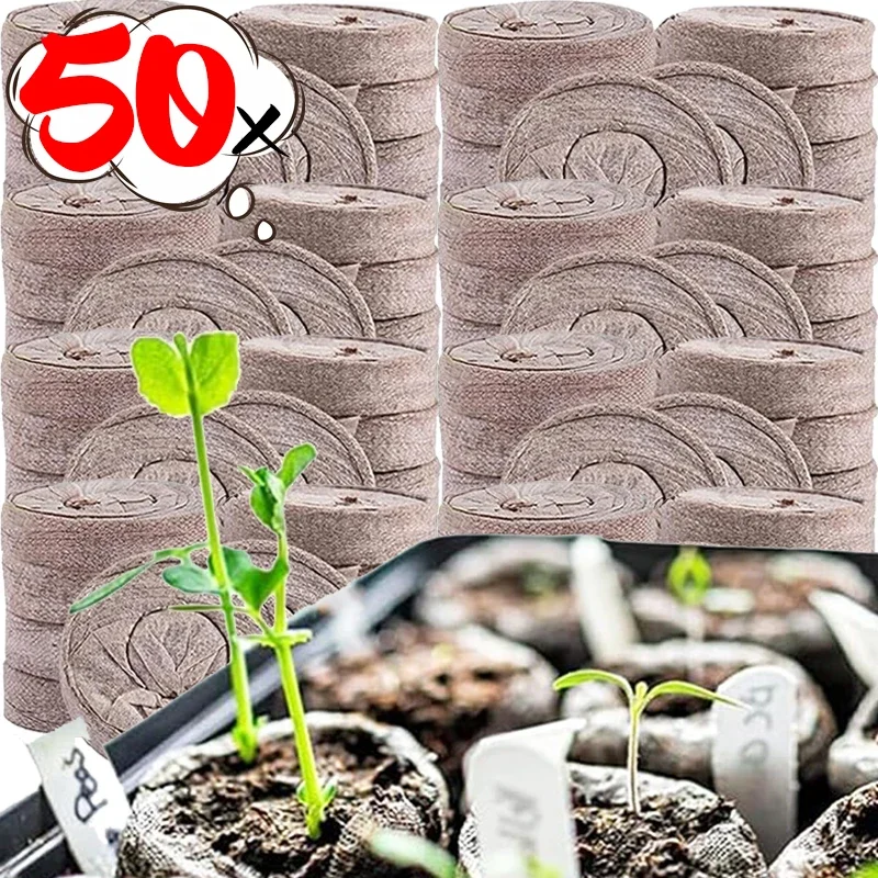 50/10 шт., блок для посадки рассады, стартовая вилка, питательные сжатые торфящие блоки, медиа-куб, теплица, садовые принадлежности, детские горшки 50/10 шт., блок для посадки рассады, стартовая вилка, питательные сжатые торфящие блоки, медиа-куб, теплица, садовые принадлежности, детские горшки