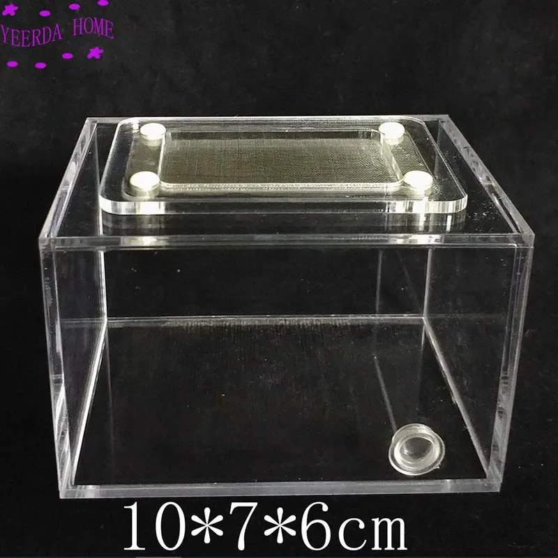 Compact Micro-Habitat and Colony Observation Box - 10x7x6cm 6