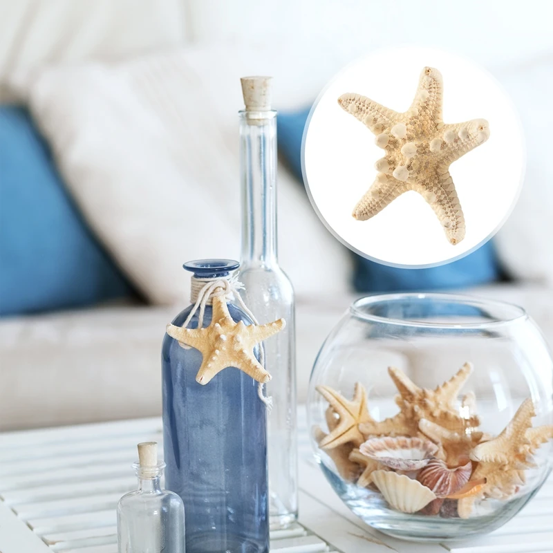 5Pcs/Lots Crafts White Bread Sea Shell Starfish, Fashion Home Decorative Handicrafts