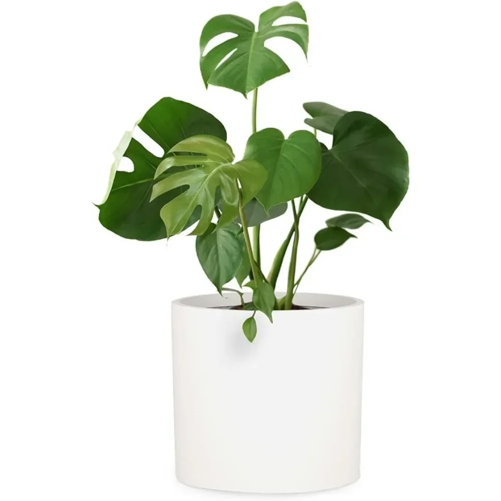 

Flower pots, household plant white pots, 15 inch plant pots - suitable for medieval plant stands