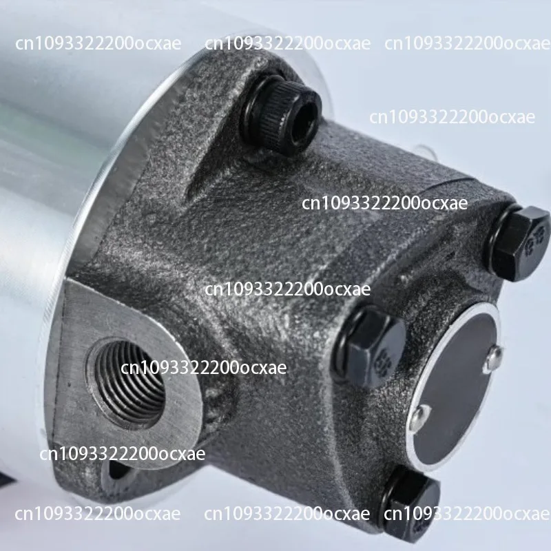 No disassembly, cleaning and maintenance, self-priming small DC motor oil pump, electric hydraulic pump