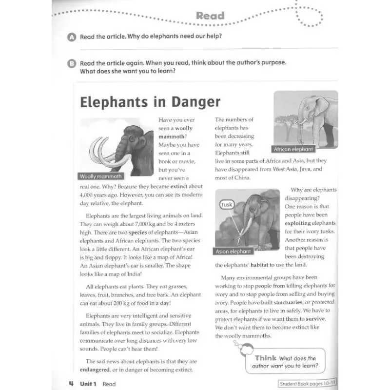 Oxford Discover 2e Arbeitsbuch der Stufe 5, mit Online-Übungen Koustaff Oxford University Press 9780194054010 Buch