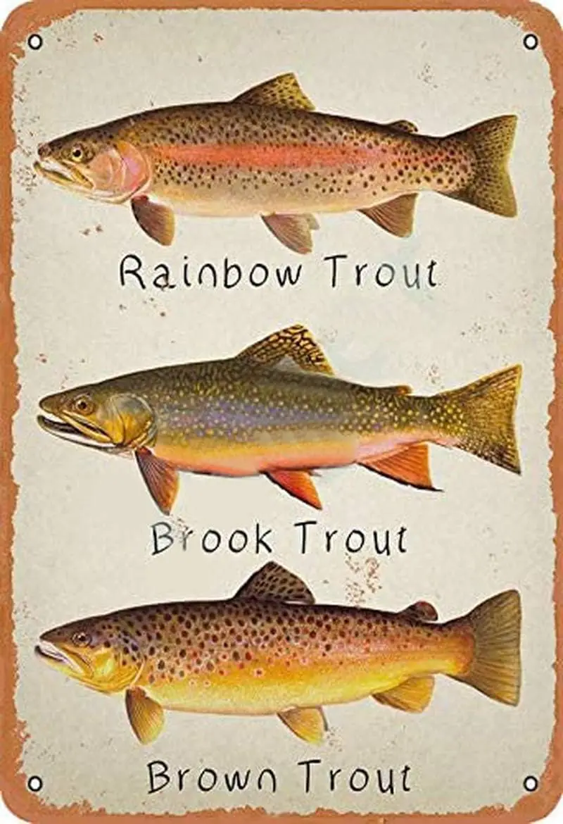 Rainbow Trout Brook Trout Brown Trout Retro Metal Tin Sign Vintage Aluminum Sign for Home Coffee Wall Decor