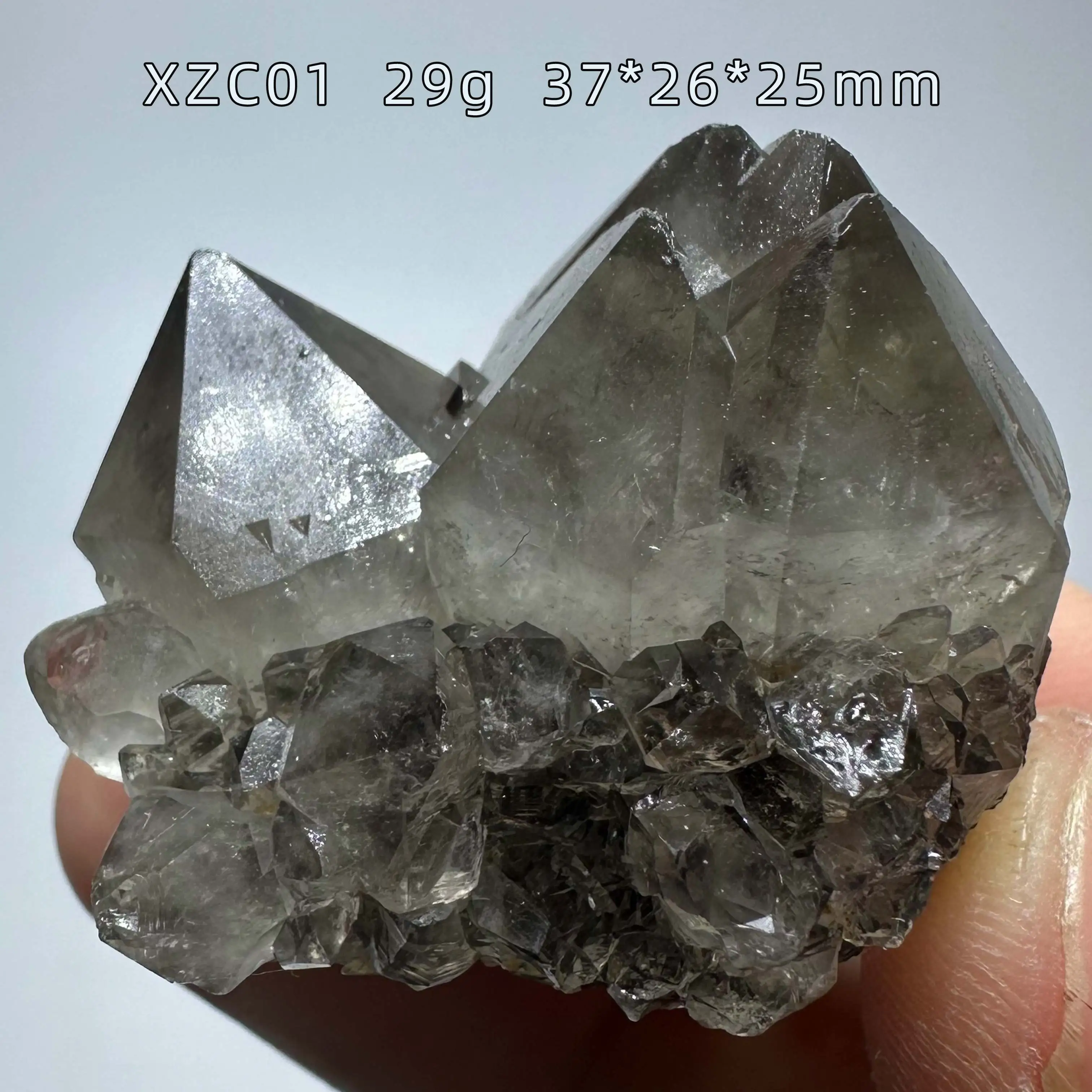 Natural cactus black crystal A rare product A home decoration item that can alter the feng shui