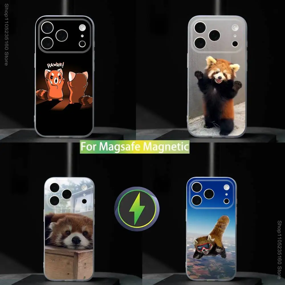 

Cute Red panda Animal For iPhone 11,12,13,14,15,16,17,Pro,Max,Plus,Mini,SE4,E Phone Case Magnetic For Magsafe Wireless