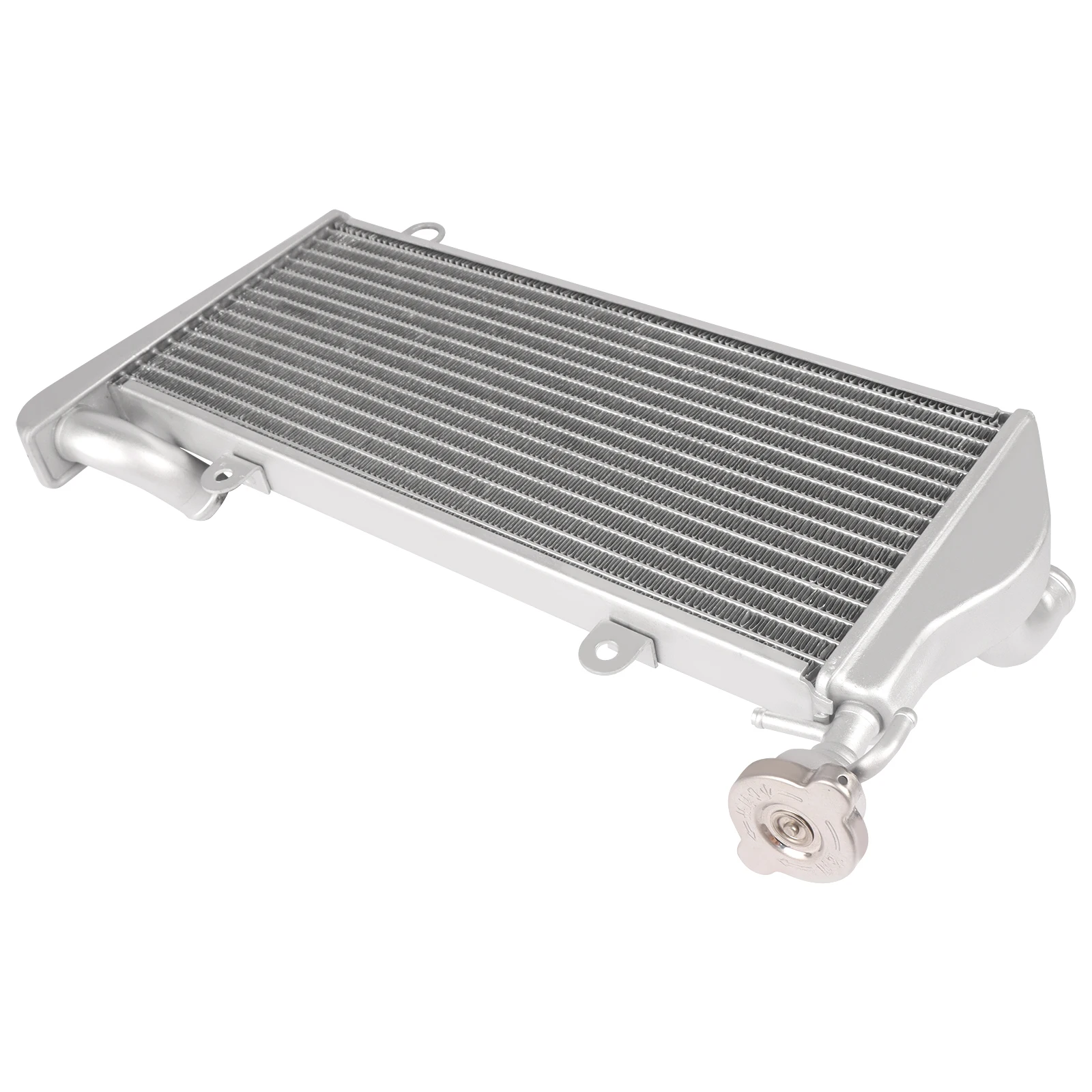 For DUCATI 899 959 1199 1199S 1299 Panigale SR Motorcycle Radiator Water Tank Oil Cooler Cooling Protector Accessories
