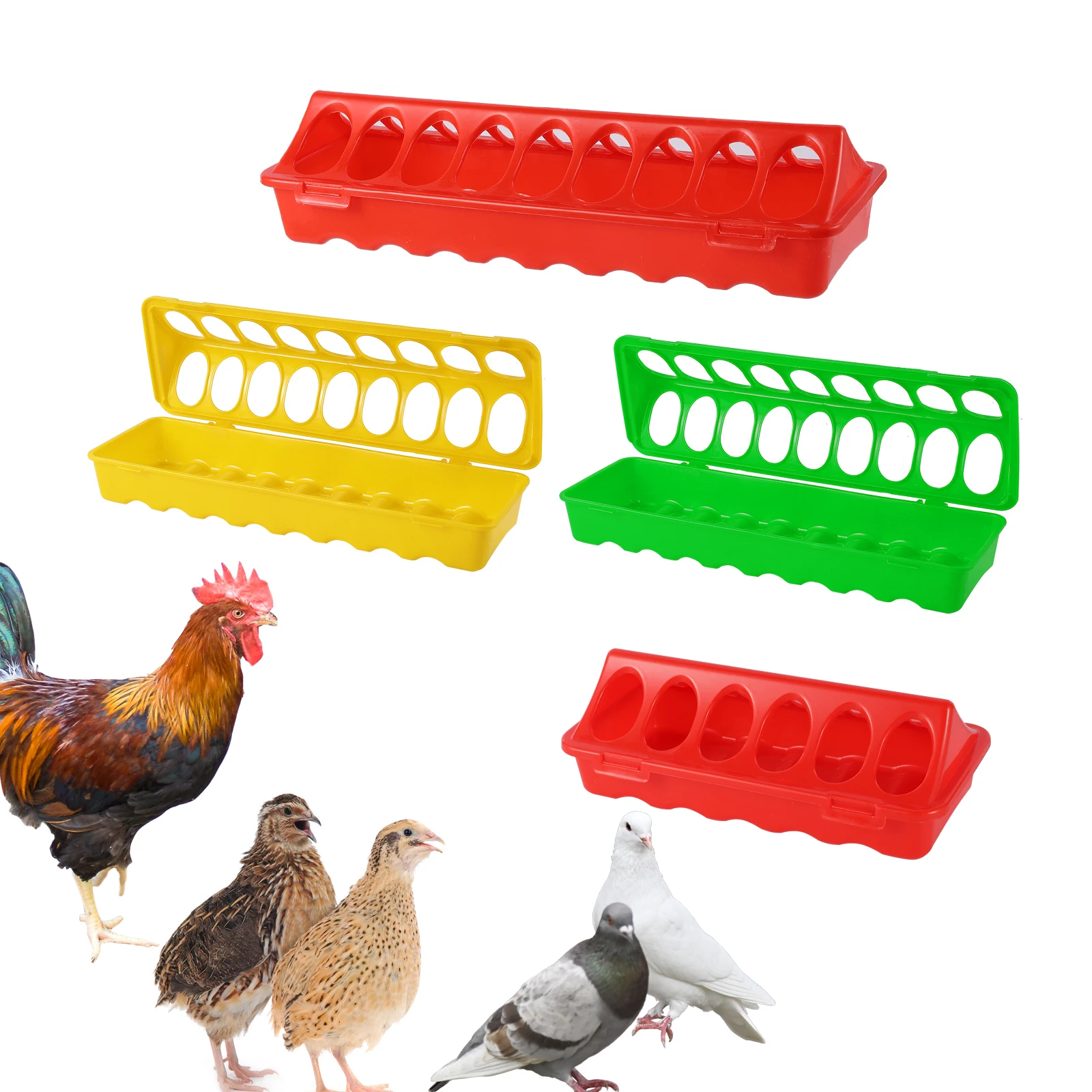 20/30/40/50cm Plastic Flip Bird Ground Feeder Feed Pigeon Parrot Trough Bird Raising Tool Pigeon Drinker Drinker