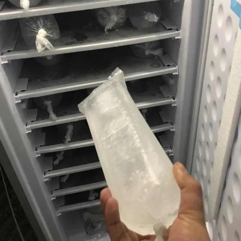 Foreign trade export 198 liters solar ice machine can make large frozen fish Africa Haiti energy-saving commercial household