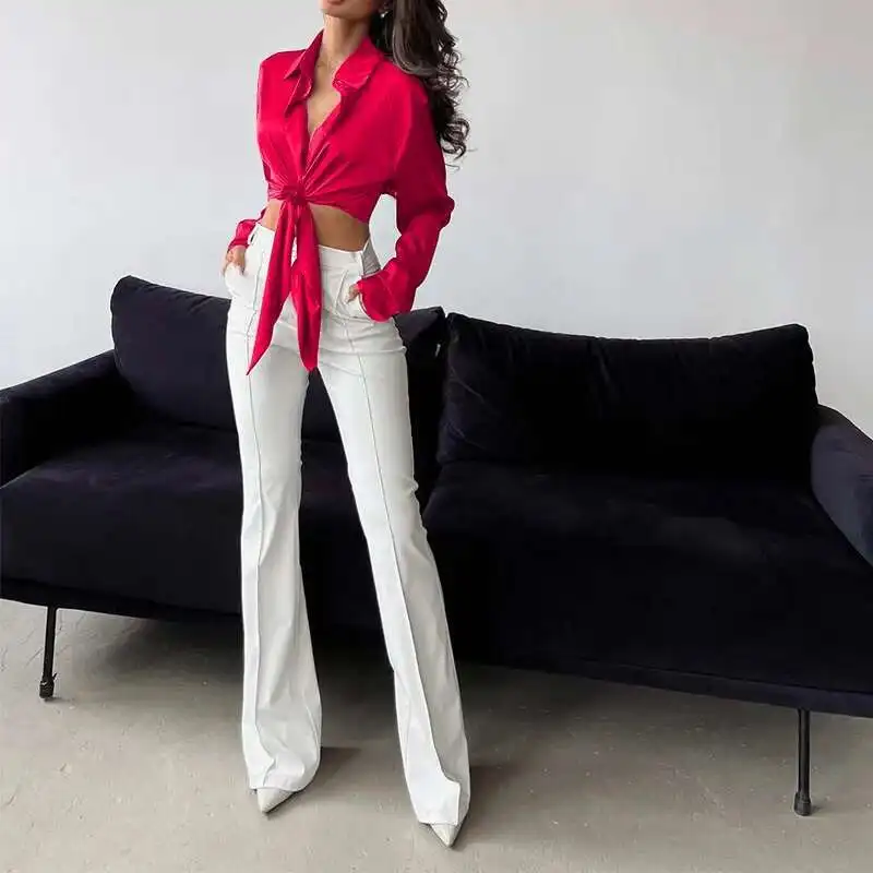 Fd1191 2025 Primavera Nuovo Temperamento in tinta unita Casual Raso di seta Texture Polo Collo a maniche lunghe Top