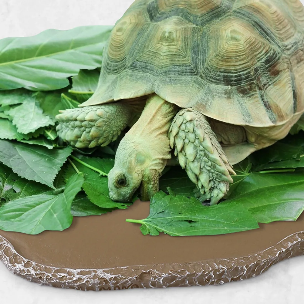 

2Pcs Reptile Food Basins Resin Large Water Dishes Turtle Tortoise Feeding Bowls Pet Food Containers Reptile Accessories