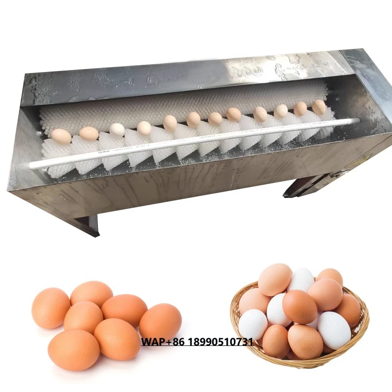 ماكينة غسل الدجاج والبط والبيض من الفولاذ المقاوم للصدأ معدات تنظيف البيض التجارية
