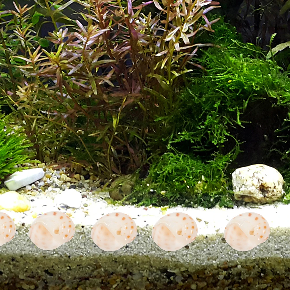 

40pcs Small Flower Dot Crab Shells Conch Decoration for Fish Tank Aquarium DIY Craft L Adornment Easy Care