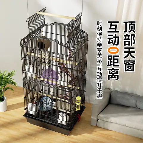 8 best sales ekorrbur - №8