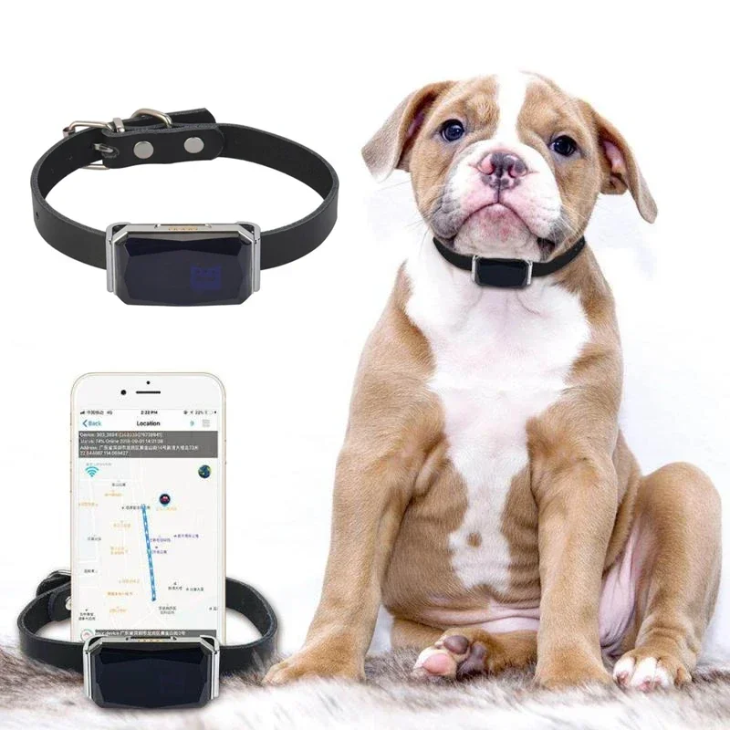 Collar de mascotas a prueba de agua IP67, rastreador GPS con luz Wifi para mascotas, perros, localizador Personal para niños, dispositivo de