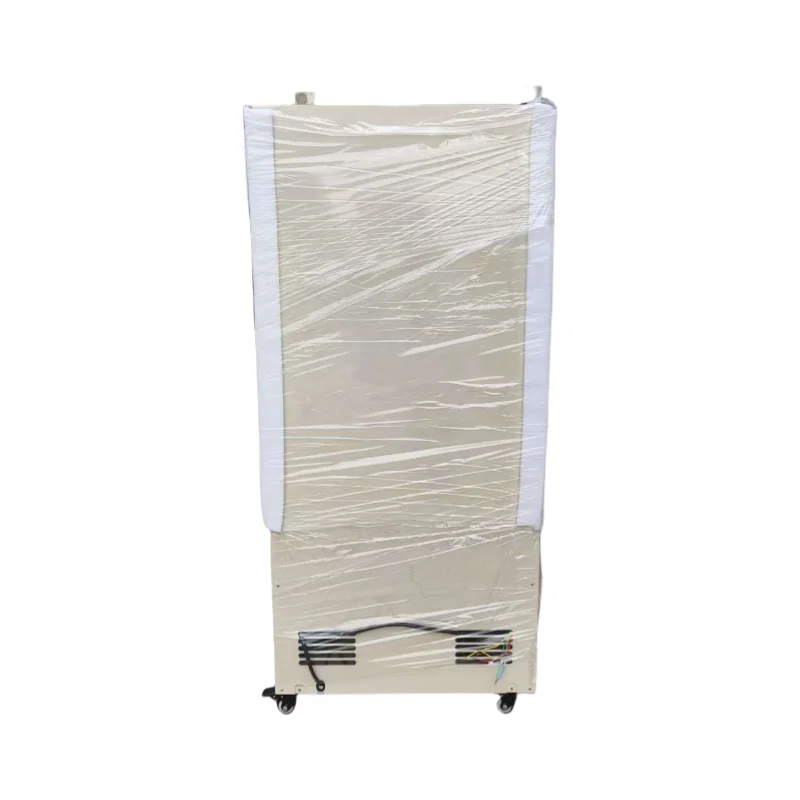 Oczyszczacz powietrza przemysłowy 240L do podziemia, nowoczesny styl, wysokiej jakości osuszacz powietrza do szklarni, biblioteki, garażu, fabryki.