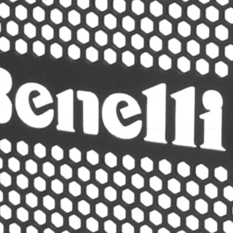 

For Benelli TNT300 STELS 300 TORNADO TNT300C BN302 Keeway RKX300/BN TNT 300 Motorcycle Accessories Radiator Grille Guard Cover