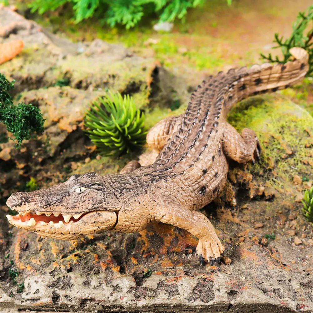 

2 шт. реалистичных искусственных украшений из прочного пластика, реалистичной формы, для детской комнаты, образовательное украшение