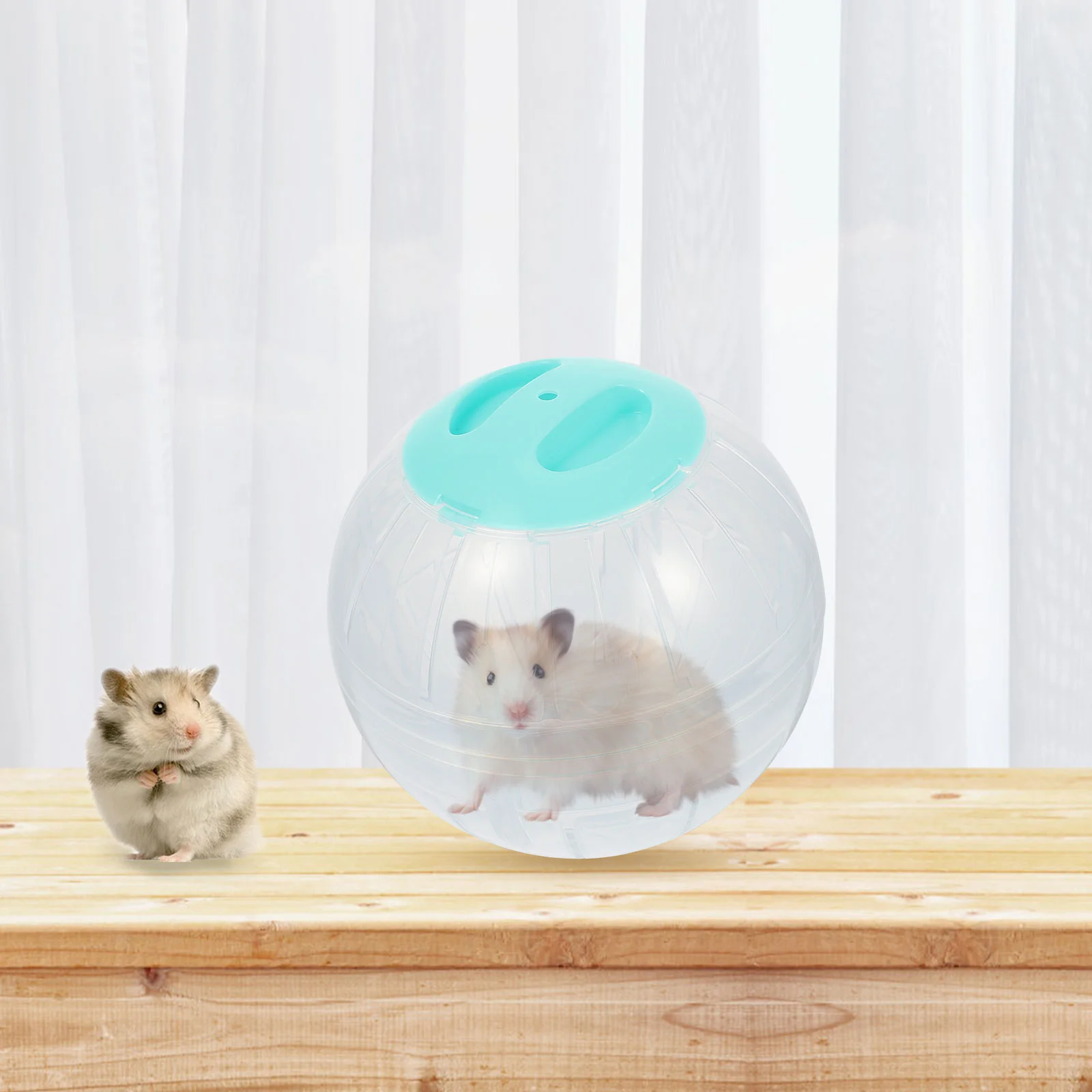 2 Pcs Small Animal Exerciser Guinea Pig Wheel Large Hamster Running Ball Portable Toy Jogging Rats Plastic Sports Balls Fitness