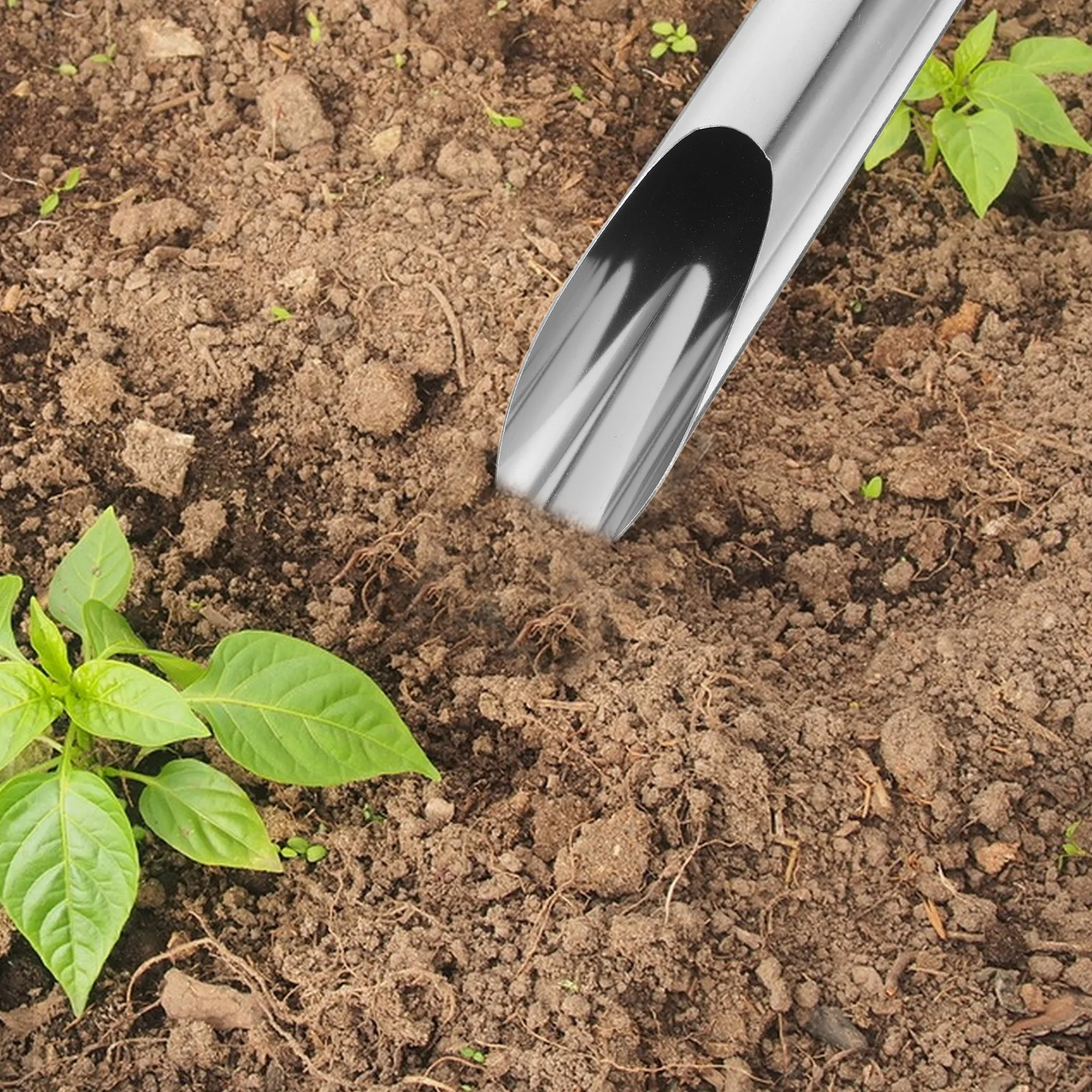 

Stainless Steel Shovel Garden Bucket Trowel Small Gardening Tools Soil Scoops Potting Lightweight Planting Fertilizing Weeding
