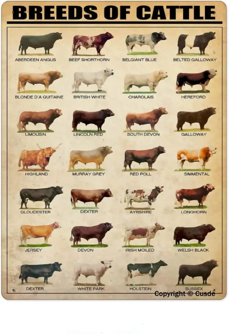 Breeds Of Cattle Metal Tin Sign Wall Plaque Poster For Restaurant Market Farm Ranch Bar Pub Beer Club Wall Home Decor  --Tin Sig