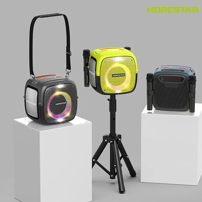 Speaker karaoke profesional dengan 2 mikrofon