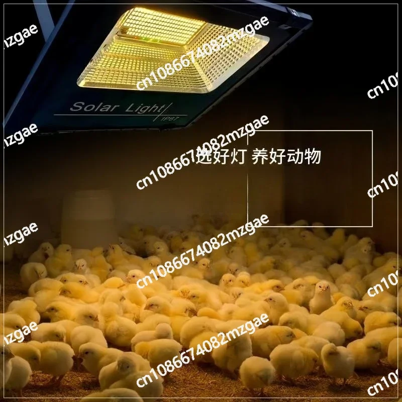 Thumbnail 2 - #23 Best Pet Pens to Buy In 2026