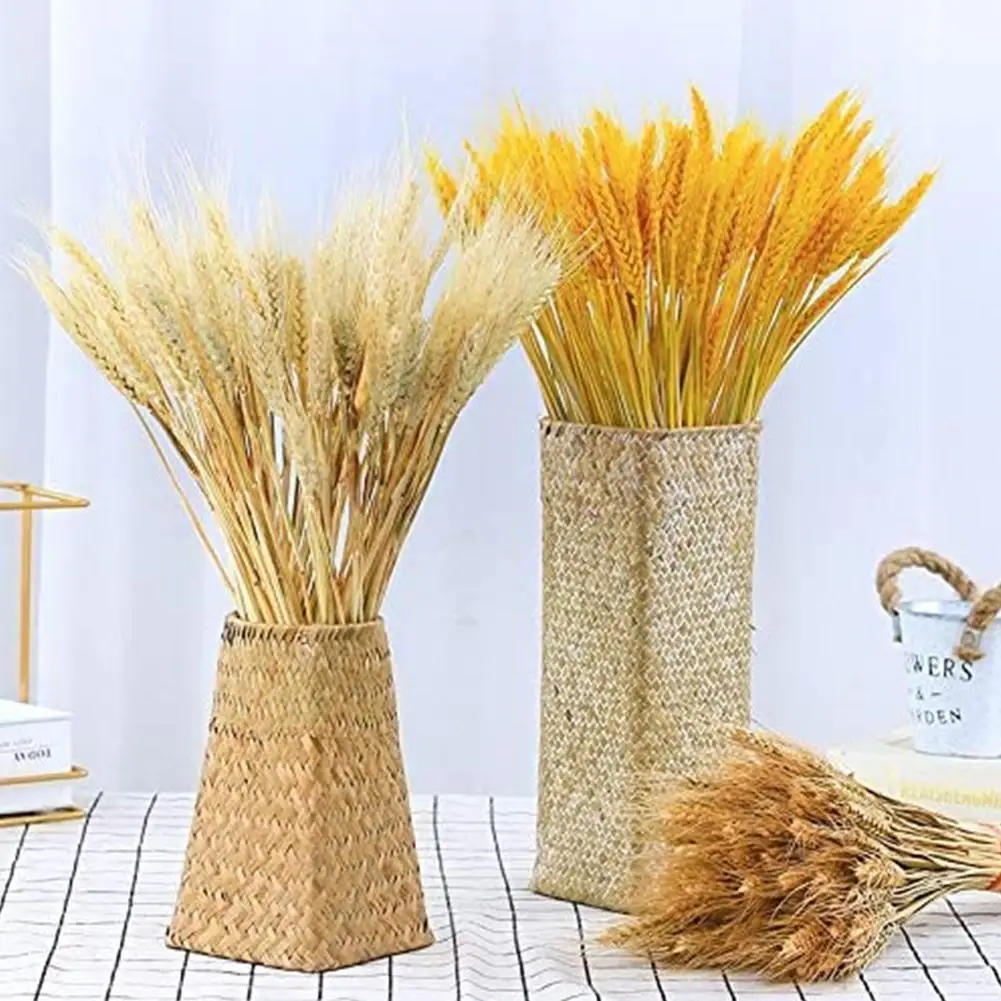 10pcs Natural Wheat Ear Dried Flower Immortal Real Decoration Natural Flower Mall Air-dried Decoration Wedding Bouquet