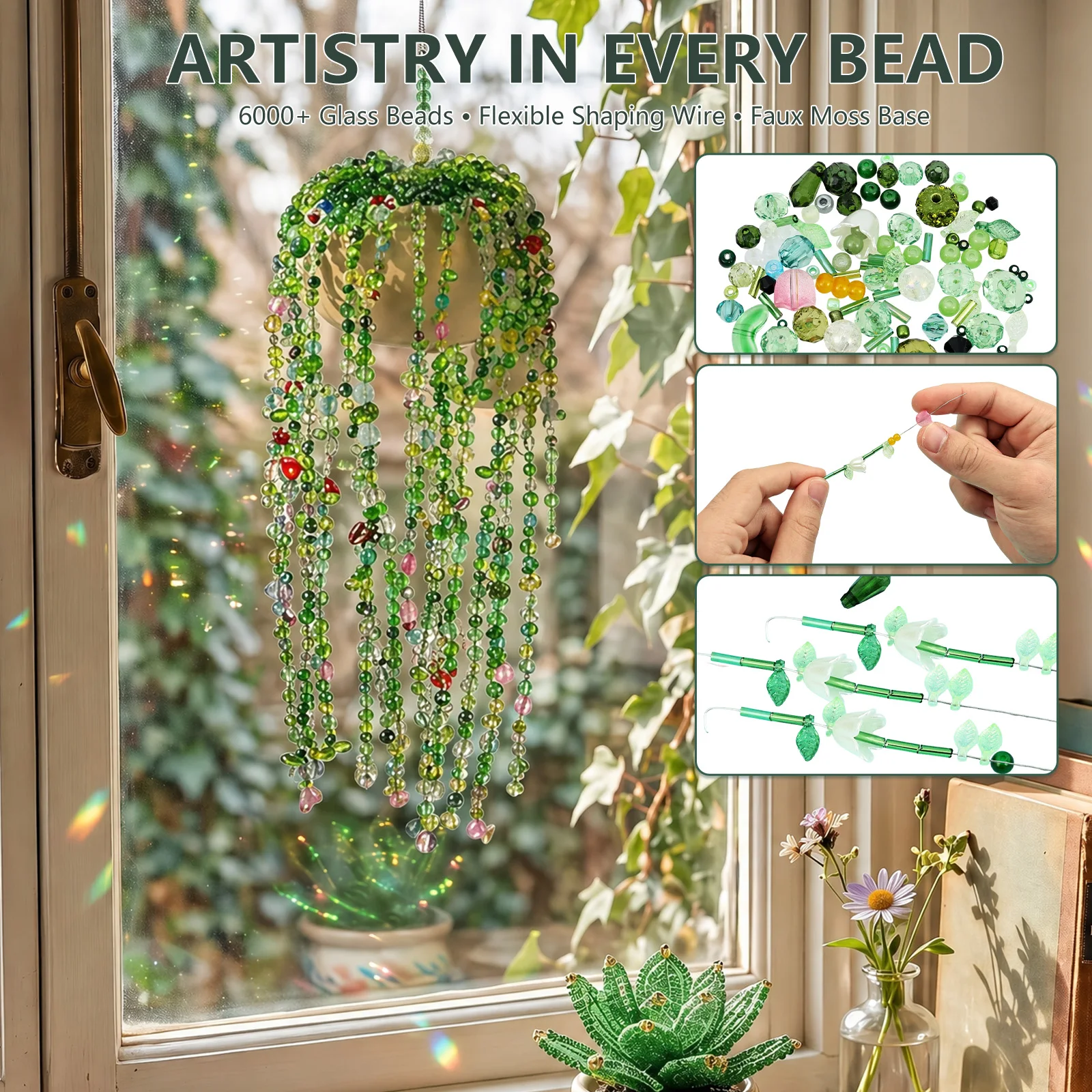 Glasperlen-Pflanzen-Set in Grü – String Of Pearls Plant Bewertung und Preis