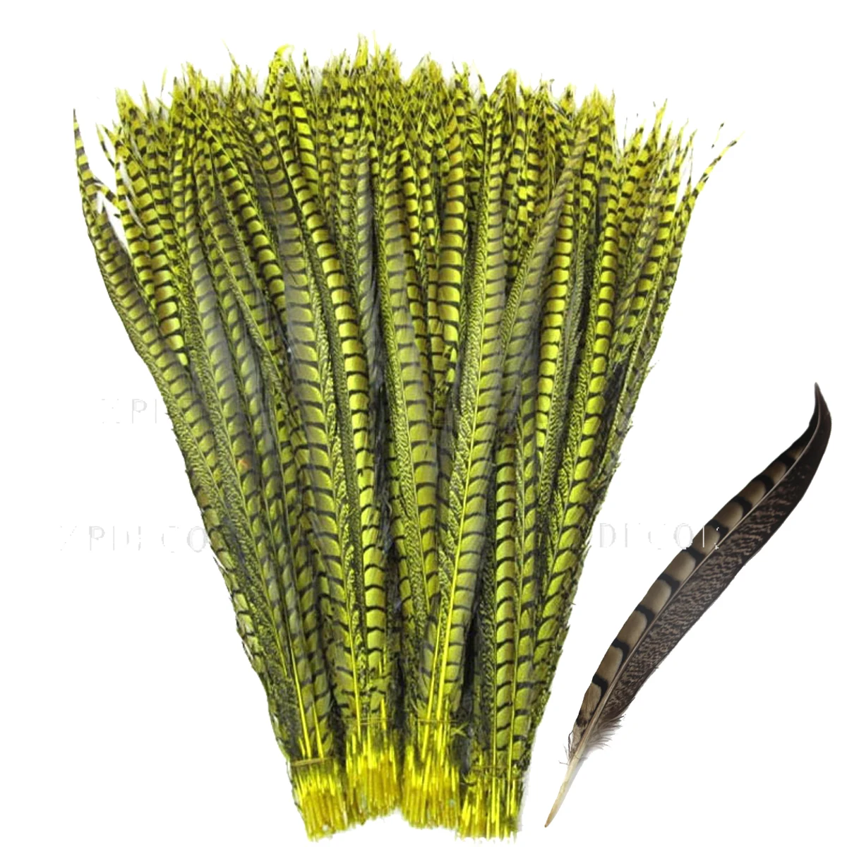 ZPDECOR 70-120cm/28-48 Inch Lady pheasant Feathers 100 pieces per pack for DIY Feather Handicrafts